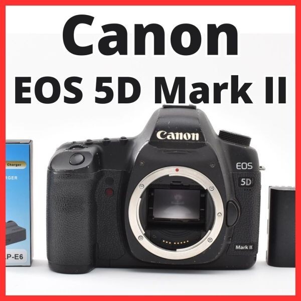 G31[8323]12 キヤノン Canon EOS 5D Mark II ボディ