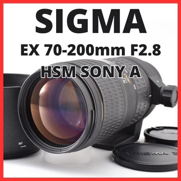 H06[8427]4 シグマ SIGMA EX 70-200mm F2.8 APO HSM ソニー / ミノルタ SONY / MINOLTA Aマウント用