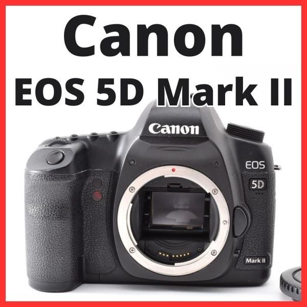 H06[8456]13 キヤノン Canon EOS 5D Mark II ボディ