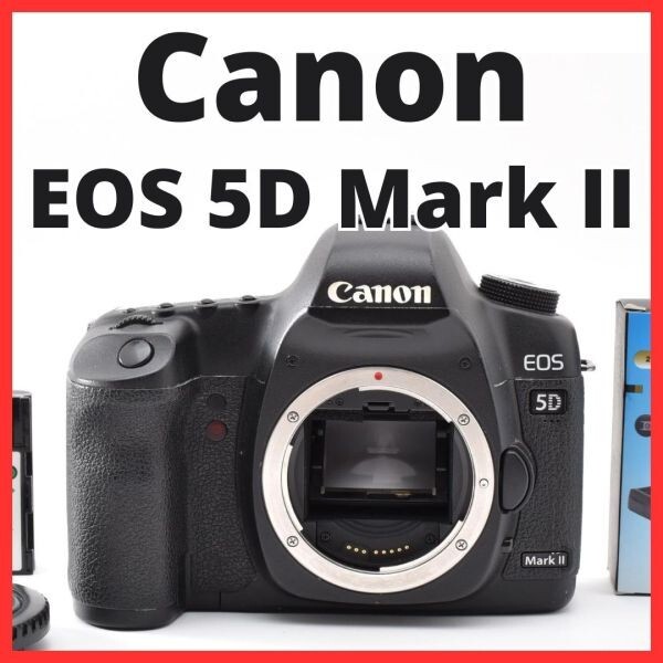 H06[8415]21 キヤノン Canon EOS 5D Mark II ボディ
