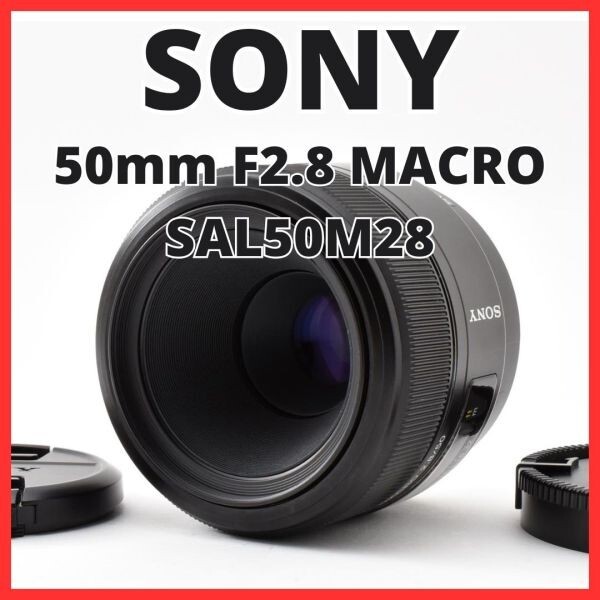 H13[8466]6★極美品★ ソニー SONY 50mm F2.8 MACRO SAL50M28
