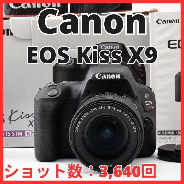 H13[8443]39★美品★ キヤノン Canon EOS Kiss X9 ボディ 18-55mm IS STM レンズキット 【ショット数 3,640回】