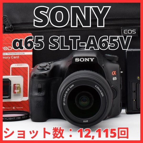 H13[8468]15★美品★ ソニー SONY α65 ボディ ダブルズームキット ダブルレンズ SLT-A65V 【ショット数 12,115回】
