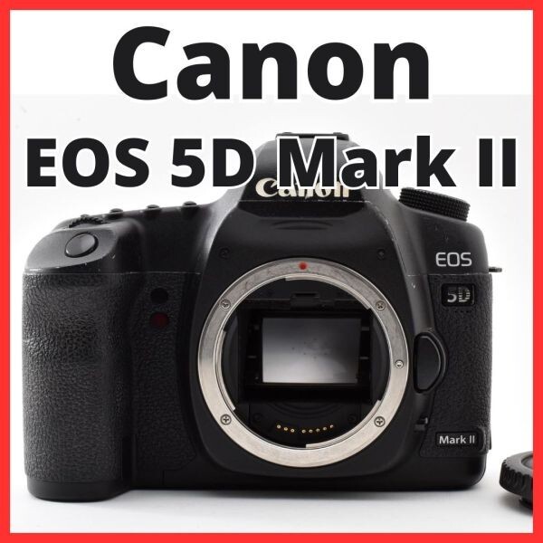 H13[8445]11 キヤノン Canon EOS 5D Mark II ボディ