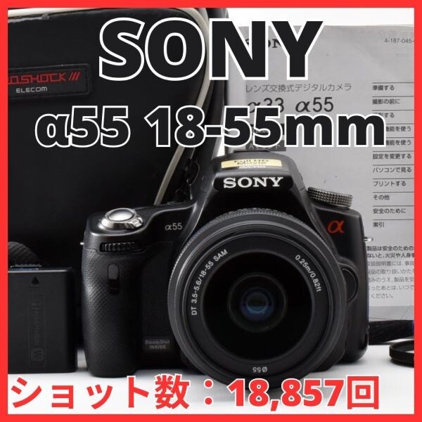 H13[8385]6 ソニー SONY α55 ボディ 18-55mm レンズキット SLT-A55V 【ショット数 18,857回】