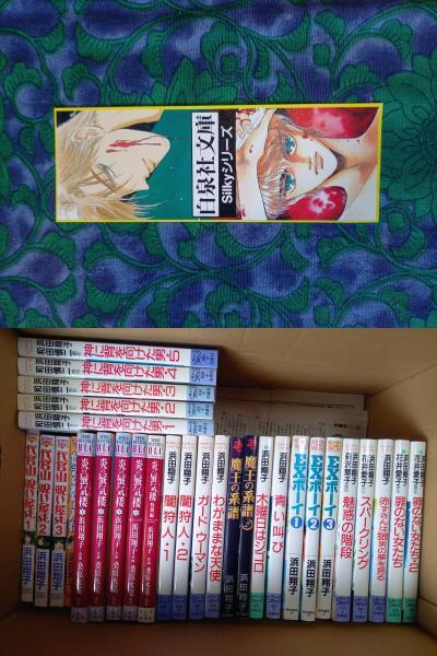 浜田翔子 神に背を向けた男　闇狩人 炎の蜃気楼 全4巻+特別編 　白泉社レディースコミック　30冊　★しおり　初版・29冊　