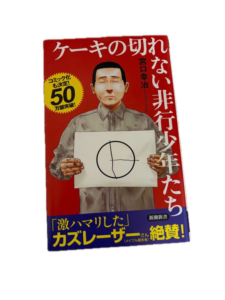 ケーキの切れない非行少年たち　