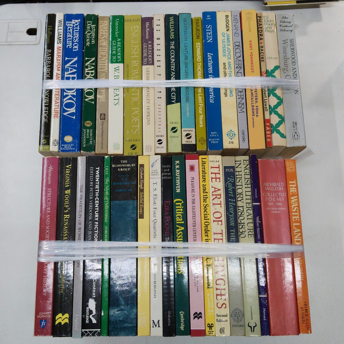 k0804-14 英文学関連洋書まとめてセット /ウルフ/エリオット/ホフマン/ウィリアムズ/メナード/クリフォード/小説/文芸/読み物/評論/