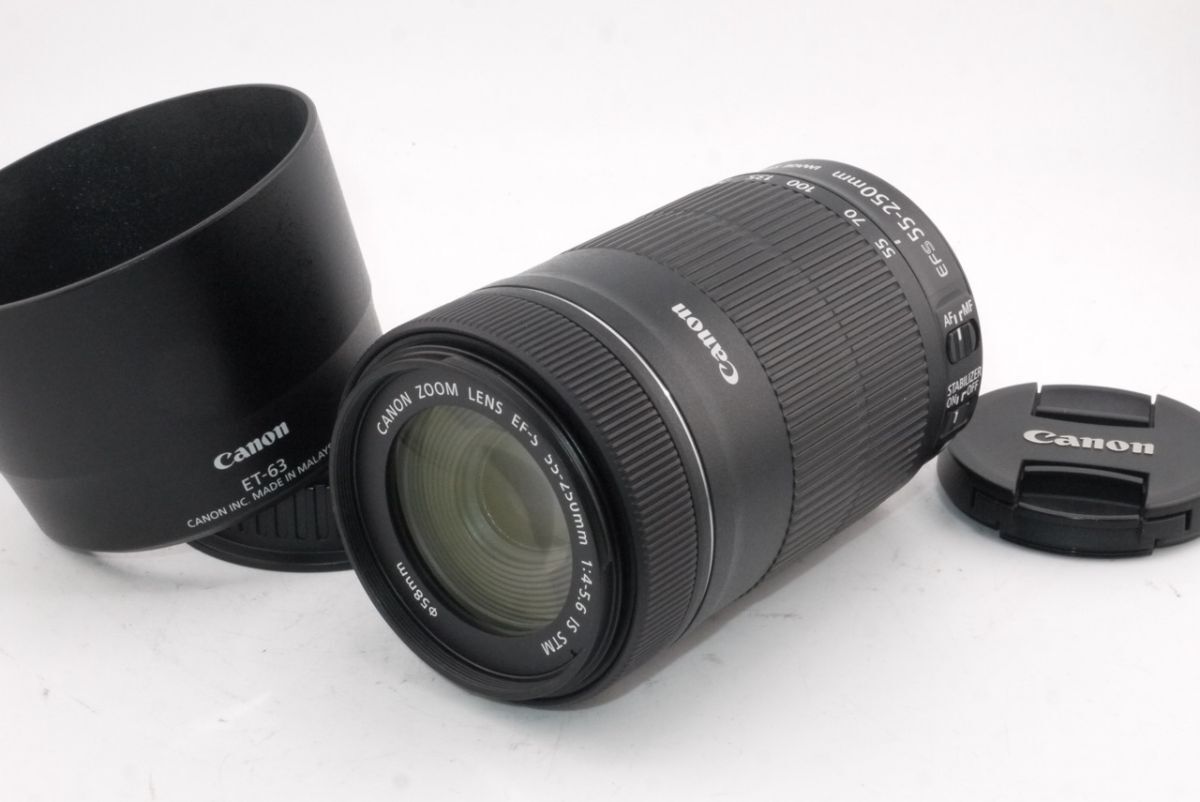 ★極上美品★キヤノン CANON EF-S 55-250mm F4-5.6 IS STM #3160 #0021