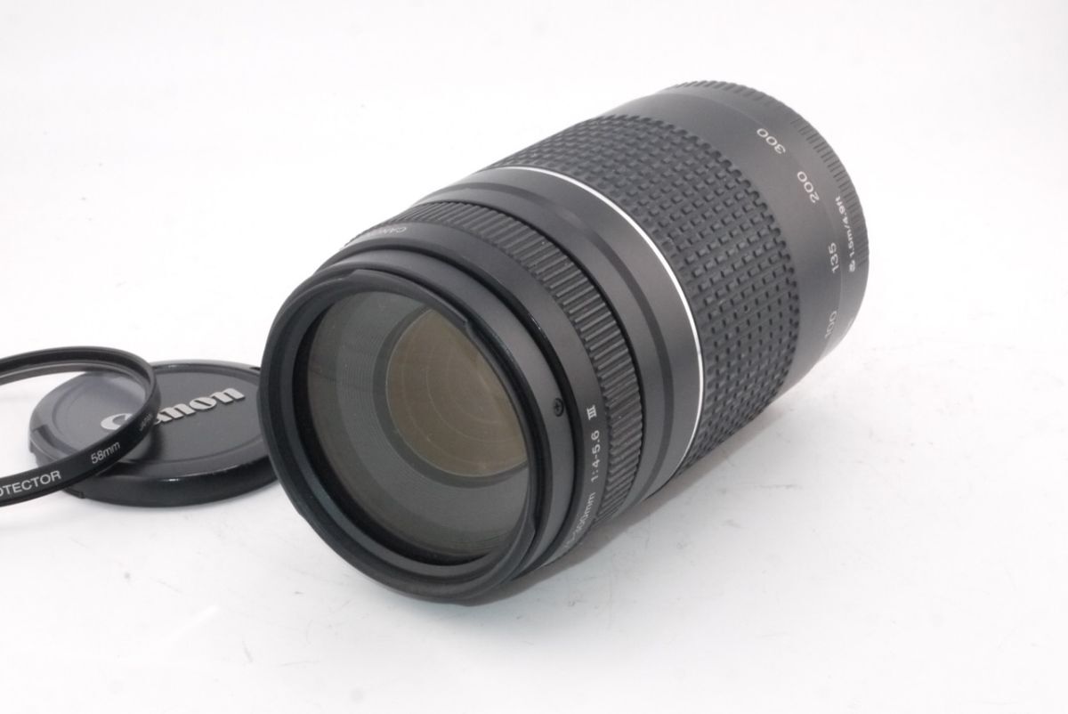 キヤノン CANON EF 75-300mm F4-5.6 III #3150 #0033