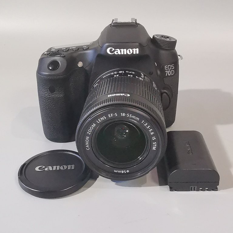 極美品 動作品 Canon キヤノン EOS 70D EF-S 18-55mm F3.5-5.6 IS ショット数685 + Z8813