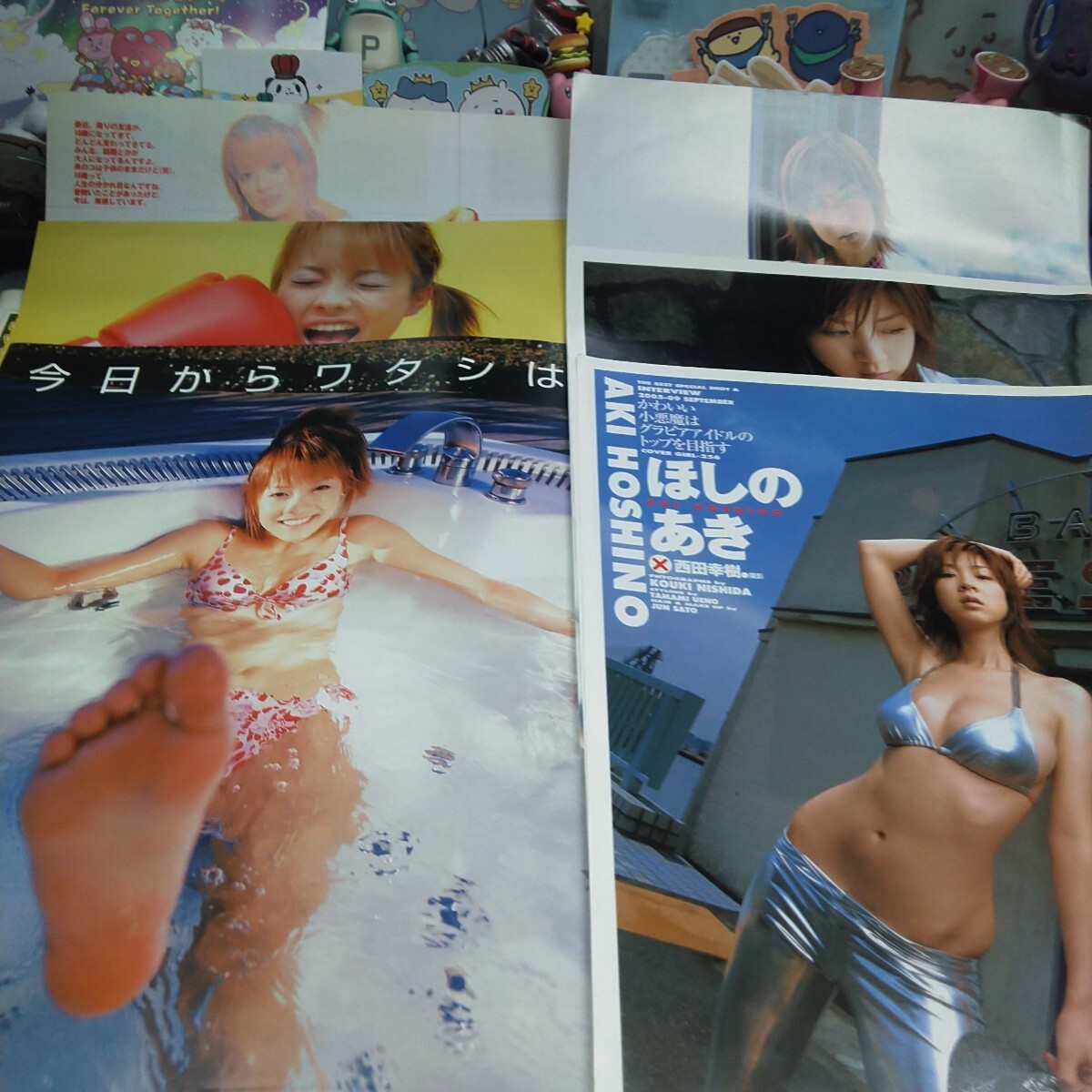 切り抜き　その②③　ほしのあき　5ページ　大森玲子　5ページ　　　　　