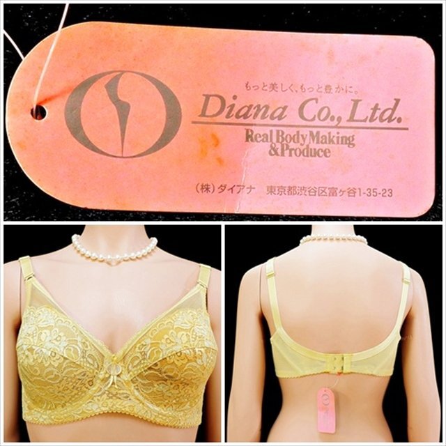 CX8-955//グラマーなEカップ/DiaSienne/ダイアジェンヌ/ダイアナ/新品タグ付き☆補正ノンワイヤーブラ※一番安価で送料はゆうパケット250円