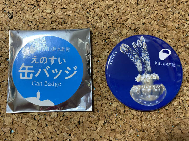 ★未使用品★ 「えのすい 缶バッジ」タコクラゲ-3　新江ノ島水族館