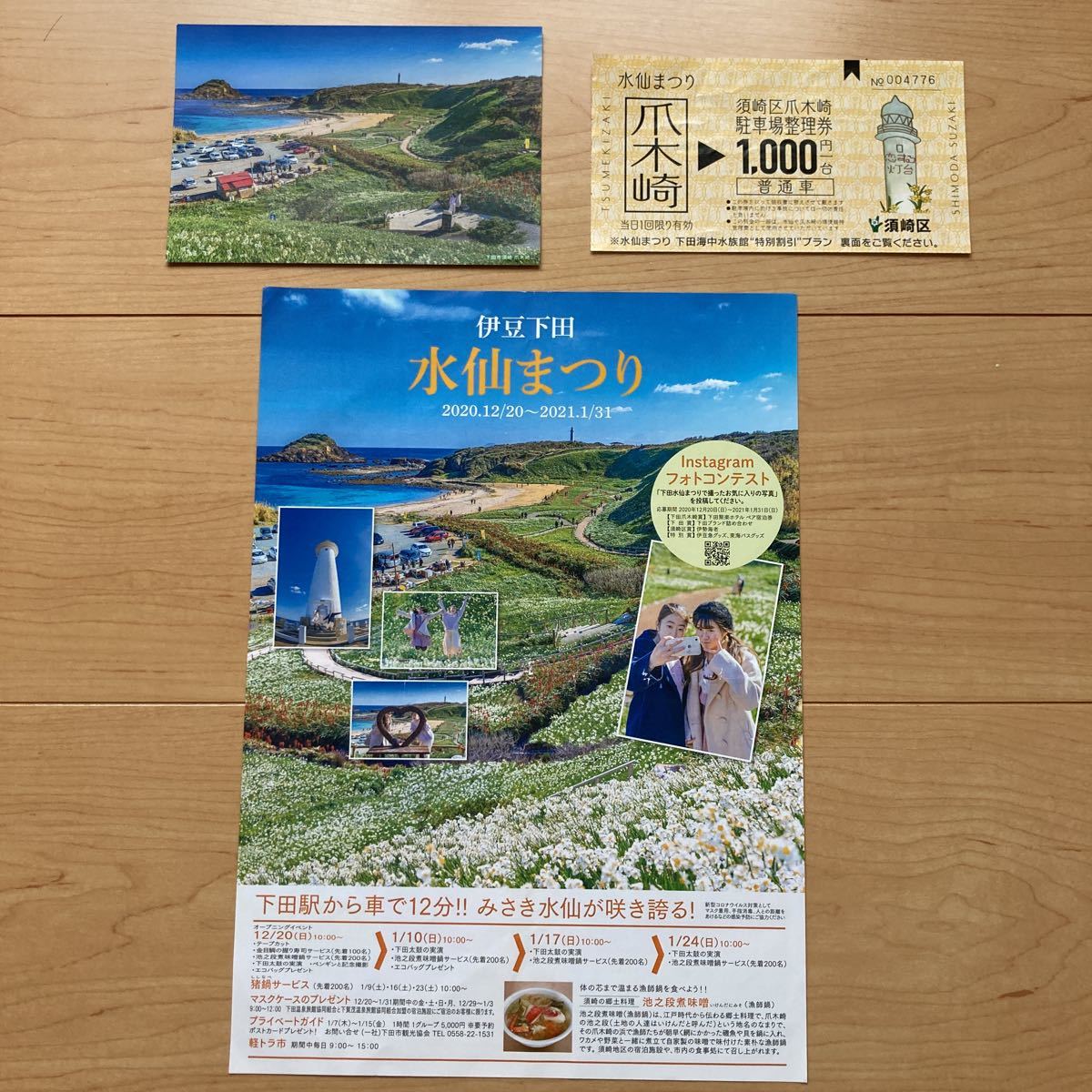 【送料無料】伊豆下田　水仙まつり　パンフレットセット　爪木崎