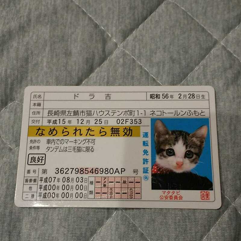 なめ猫 カード コレクション ドラ吉 免許証風