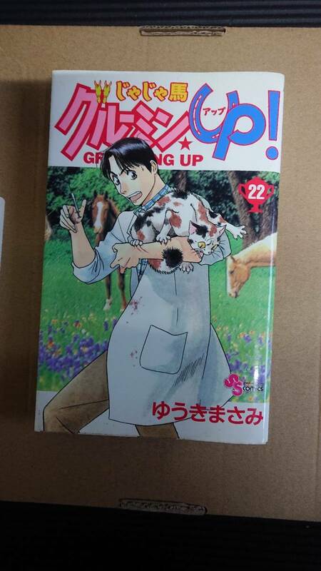 ゆうきまさみ　じゃじゃ馬グルーミングUP!　22