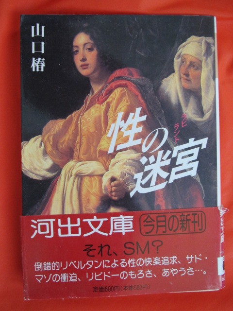 ◆性の迷宮　山口椿　１９９５年初版　河出文庫◆