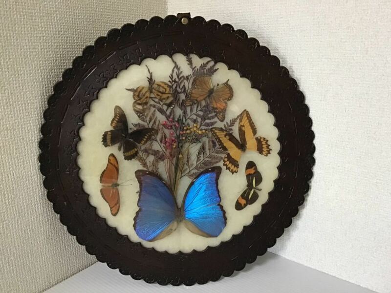 モルフォ蝶　壁掛け　革製　色々な蝶　飾り　インテリア　蝶標本　全体直径36.5cm 綺麗な蝶々　中古