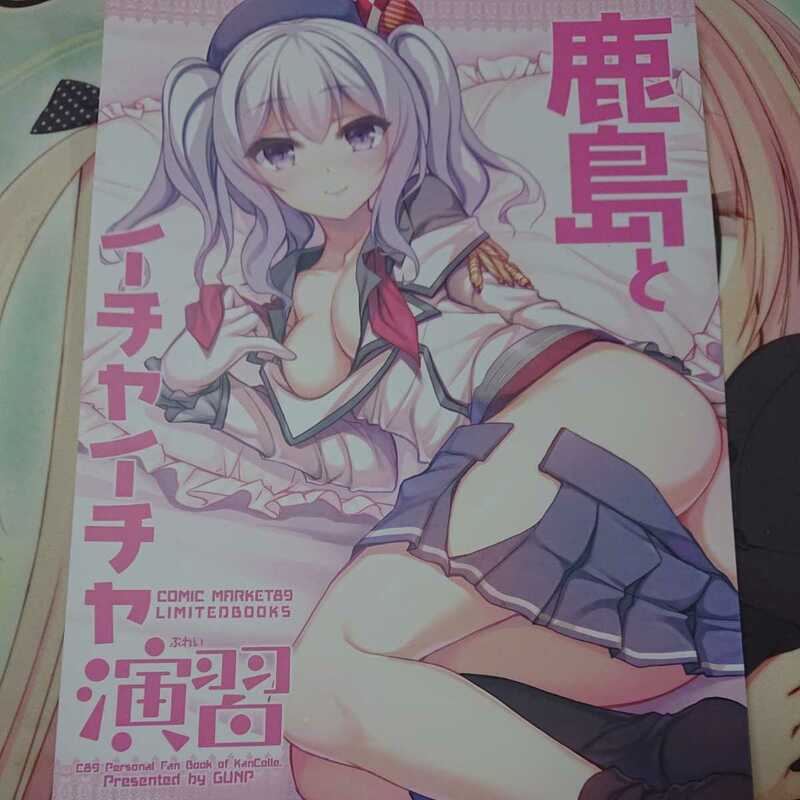 同人誌 艦これ 鹿島 全年齢 GUNP