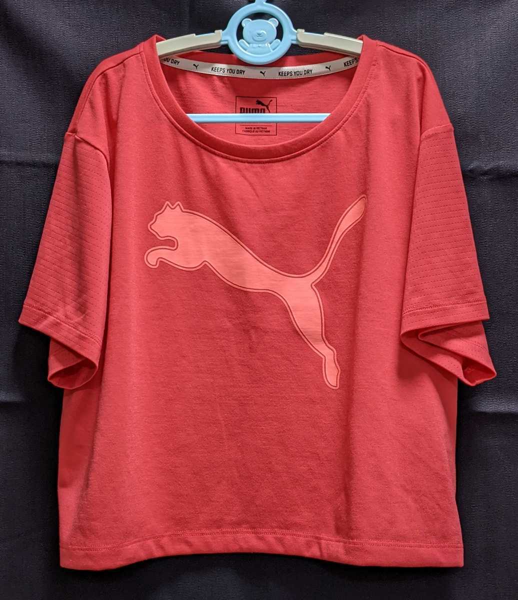 ★140サイズ ★PUMA プーマ ★スポーツ用 半そで機能Tシャツ パラダイスピンク