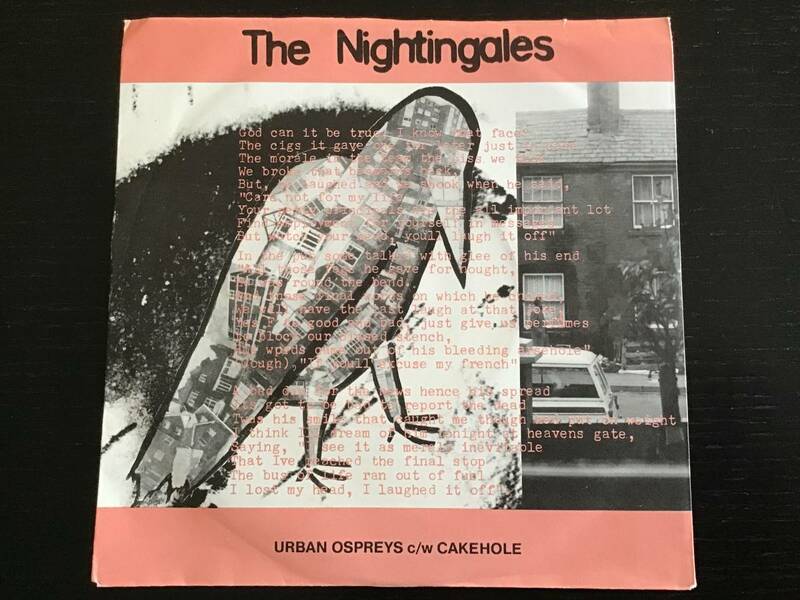 送料込み　The Nightingales. “ URBAN OSPREYS c/w CAKEHOLE” ナイチンゲールス　7 inch single