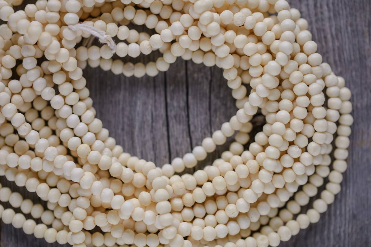 ＊Buffalo born beadsB