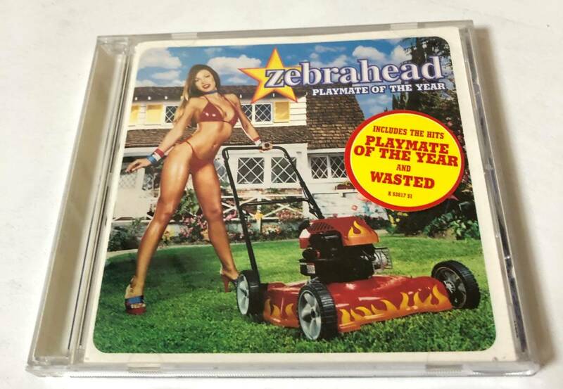 【Zebrahead CD1点】Playmate of the Year｜ゼブラヘッド ポップパンク now or ever