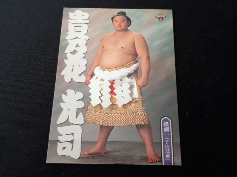 良品 BBM 1999年 上半期版 貴乃花 光司 サンプルカード SAMPLE 大相撲カード