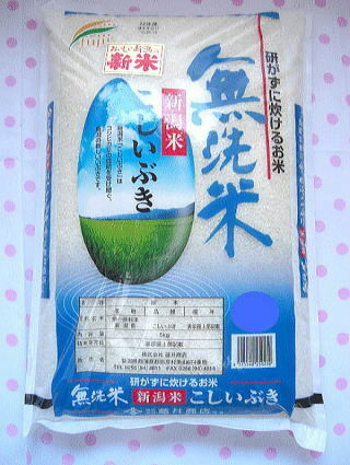 【送料無料】令和5年度産 新米こしいぶき無洗米　新潟県産5キログラム×5