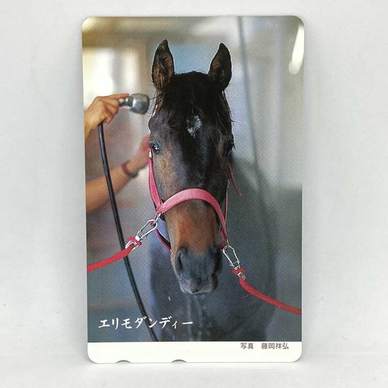 テレホンカード　50度数　競馬　エリモダンディー　藤岡祥弘