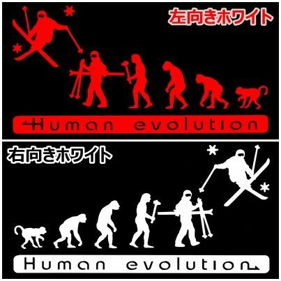 人類の進化 30cm【スキー編】モーグルステッカー2