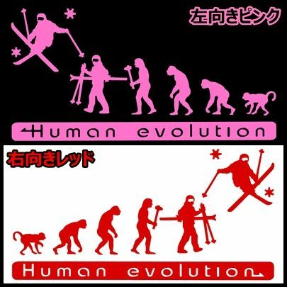 人類の進化 15cm【スキー編】モーグルステッカー2