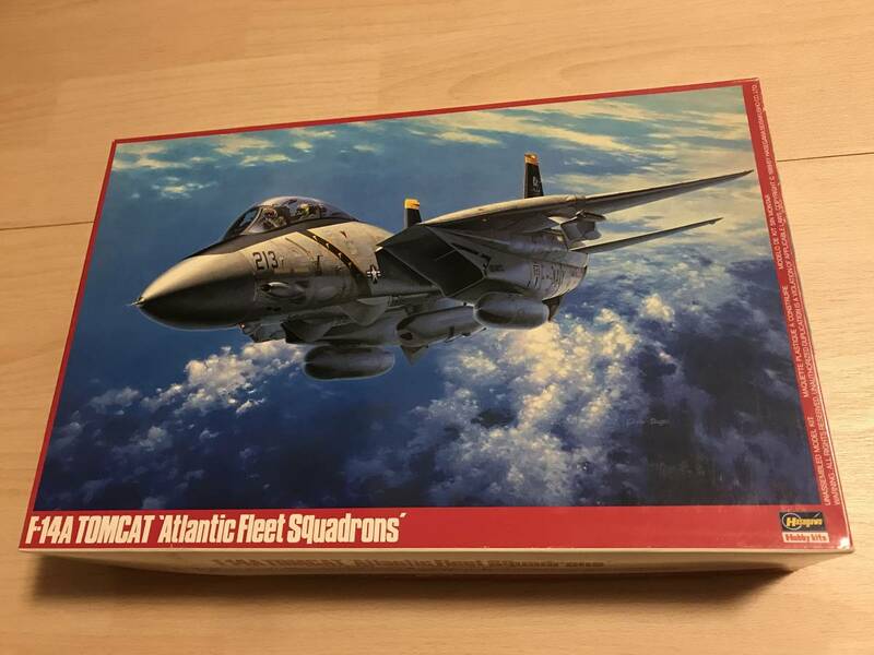 ハセガワ 1/48 F-14A トムキャット （大西洋空母航空団）