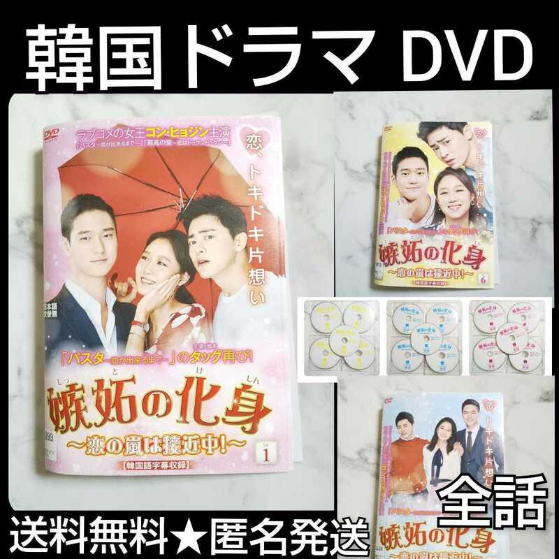 【韓国ドラマ】DVD★嫉妬の化身~恋の嵐は接近中! ~ (全話)★レンタル落ち コン・ヒョジン