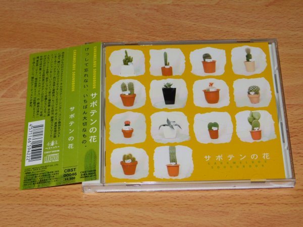 サボテンの花　演劇集団キャラメルボックス　CARAMELBOX SOUNDBOOK 清水一雄　コング桑田　渡邊安理　CBST-00046