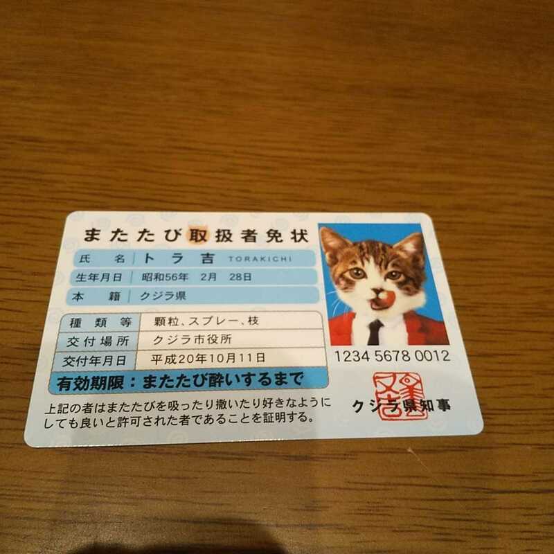 【なめ猫】　なめんなよカードコレクション バラエティ　パロディ　おもしろカード　猫　ネコ　またたび取扱者免状　トラ吉
