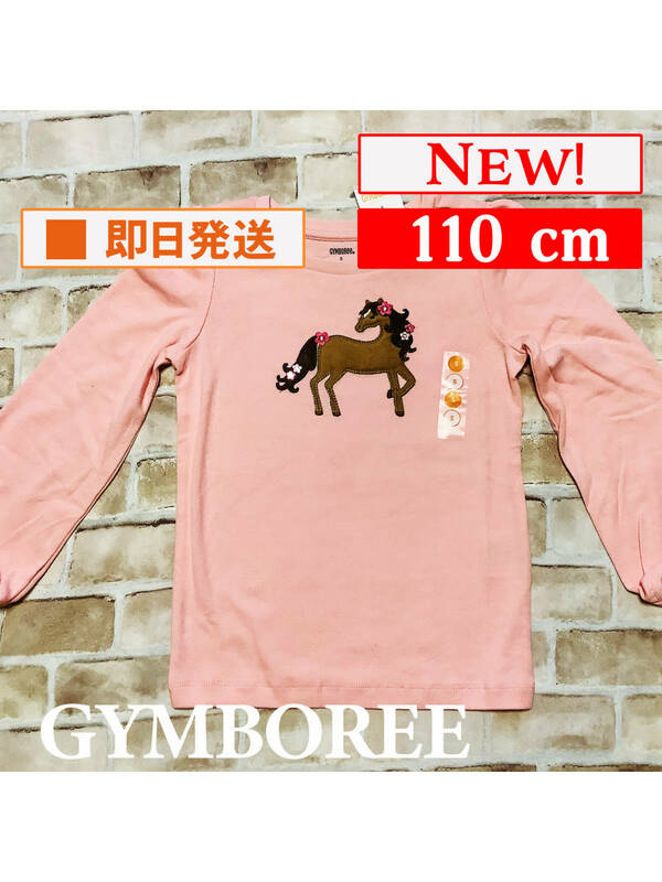 Top-413【新品】Gymboree/長袖カットソー/110cm/US5/サーモンピンク/アップリケ/ジンボリー/インポート/女の子/子供服/送料無料