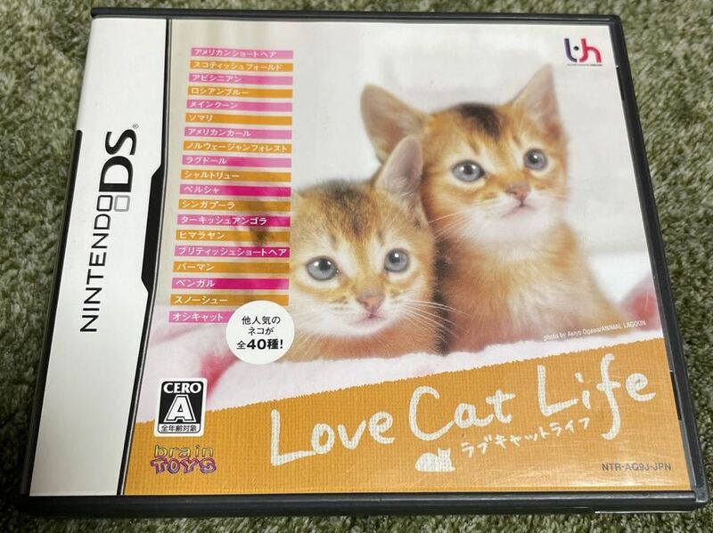 DS ソフト ニンテンドーDS ラブキャットライフ Love Cat Life 仔猫 育成 中古 起動確認済 即決あり