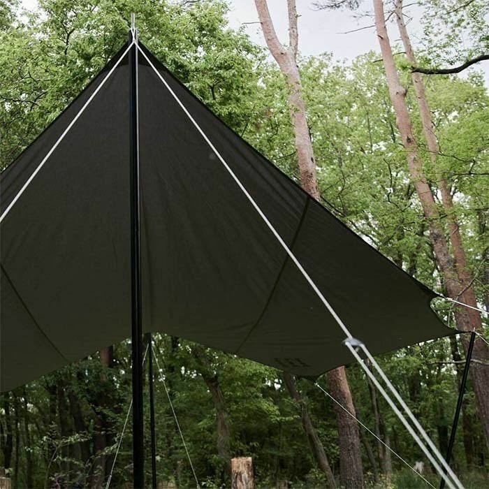 テントポール タープポール黒 2本セット 伸縮 丈夫 設営 キャンプ 収納袋付き テント併用 タープ併用