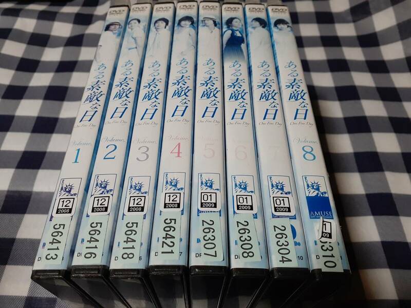 送料無料☆※レンタル落ちDVD ある素敵な日 8巻セット (※ディスクとジャケットのみ発送) 