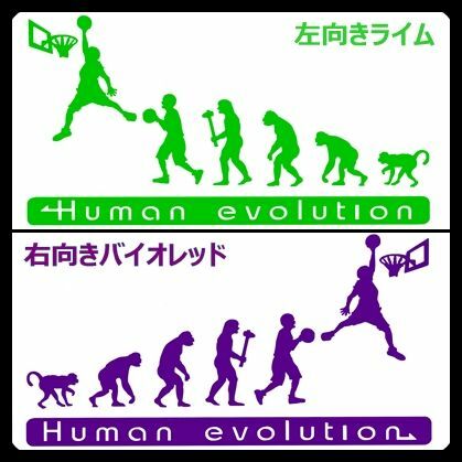 人類の進化 20cm【バスケットボール編】ダンクステッカー2