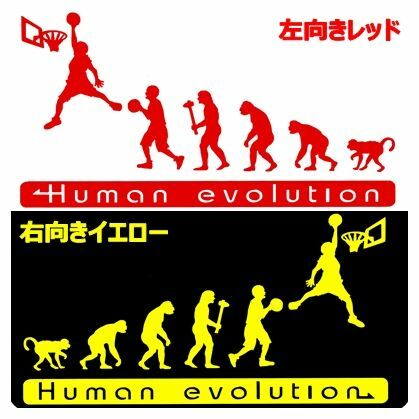 人類の進化 20cm【バスケットボール編】ダンクステッカー1