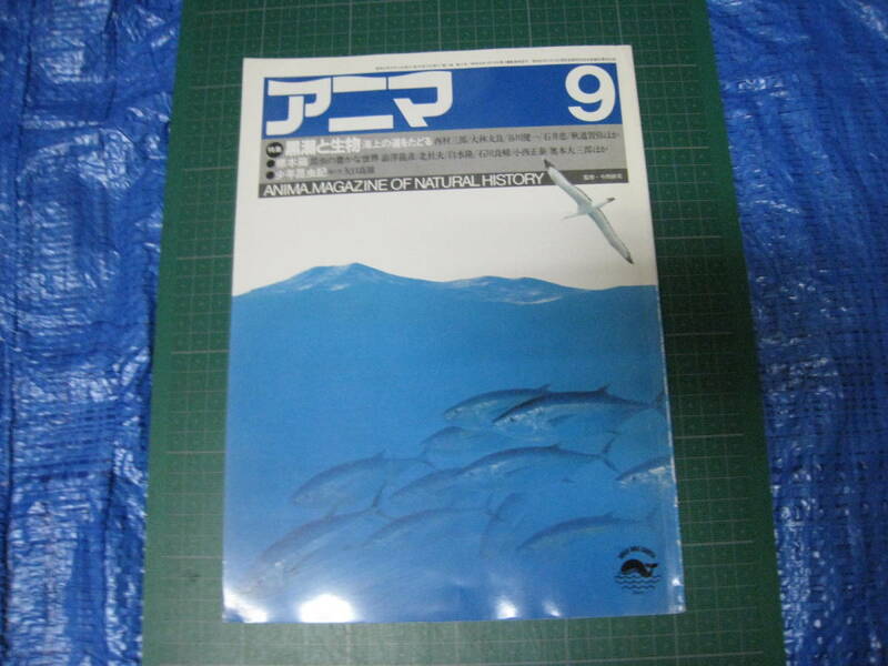 アニマ　1985年9月号　特集：黒潮と生物　平凡社