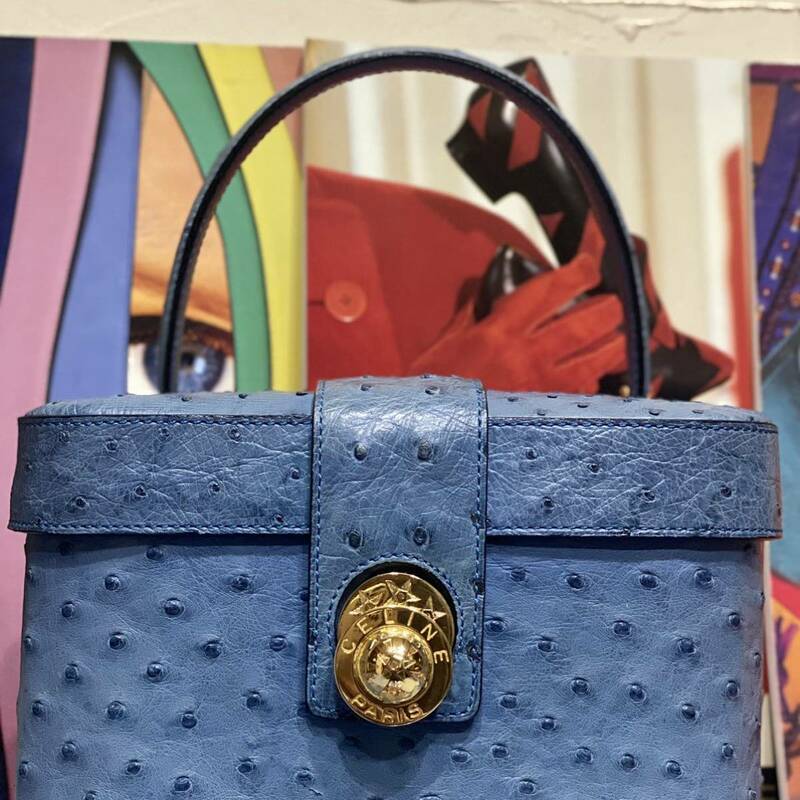 激レア 希少 VINTAGE OLD CELINE オーストリッチレザー バニティバッグ ハンドバッグ スターボール金具 年代物ヴィンテージバッグ ブルー系