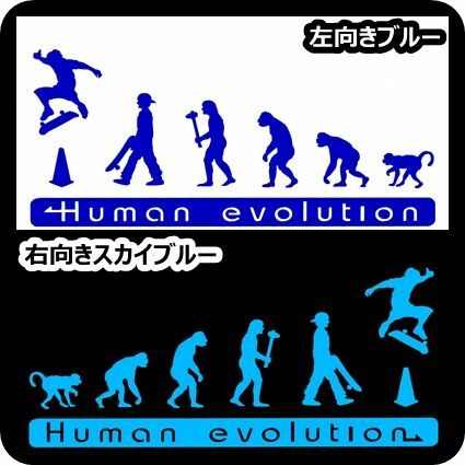 人類の進化 30cm【スケートボード編】スケボーステッカーDC2