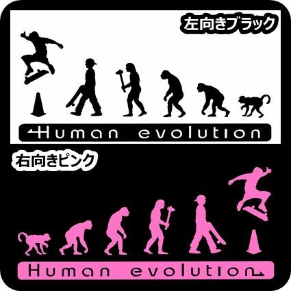 人類の進化 20cm【スケートボード編】スケボーステッカーDC1