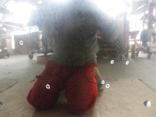 {$data['title']拍卖