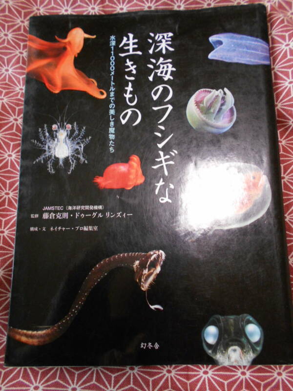 ★深海のフシギな生きもの ー水深11000メートルまでの美しき魔物たち藤倉克則(著, 監修, 監修)ドゥーグル リンズィー(監修, 監修)★