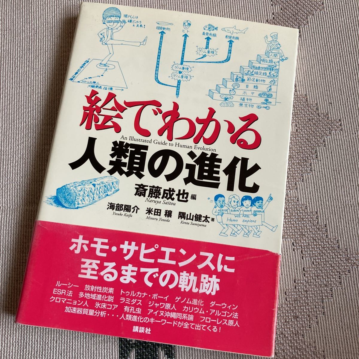 絵でわかる人類の進化 絵でわかるシリーズ／斎藤成也【編】，海部陽介，米田穣，隅山健太【著】